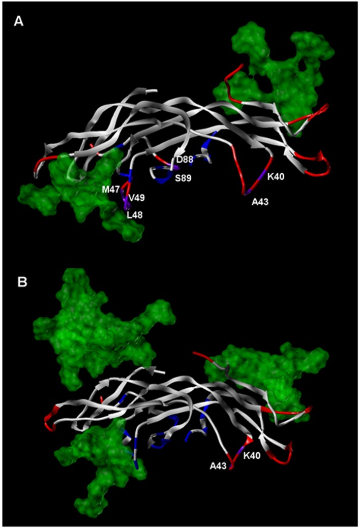 Fig 5