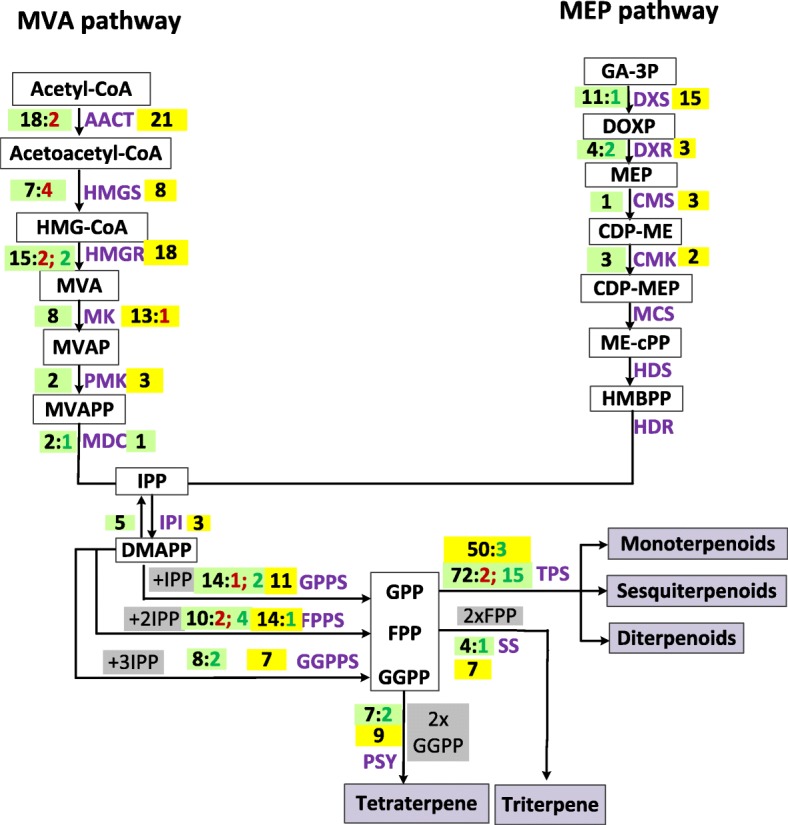 Fig. 4