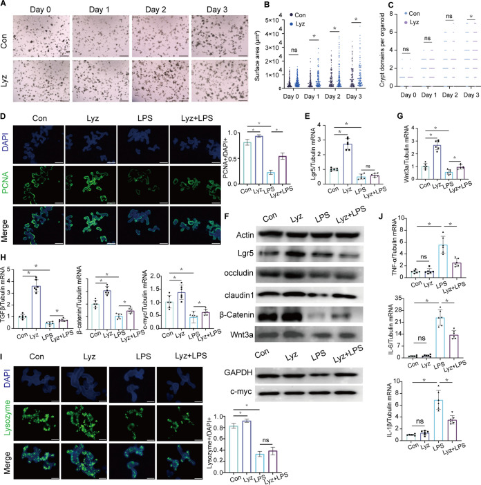 FIG 10