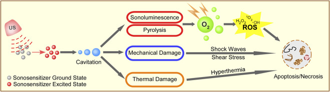 FIGURE 1