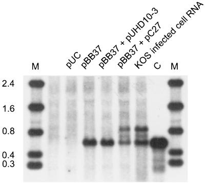 FIG. 5