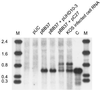 FIG. 5