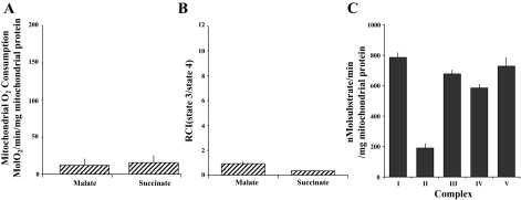 Fig. 11.