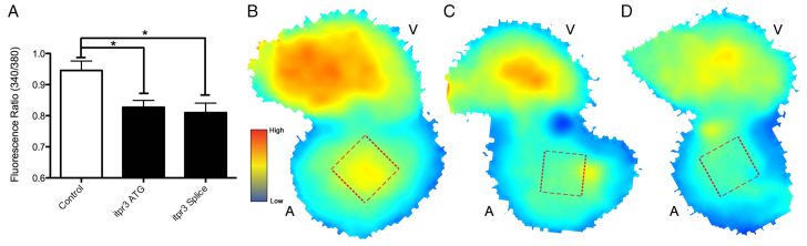 Fig. 3.