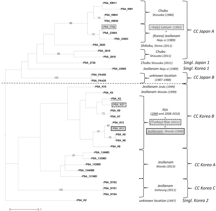 Fig 6