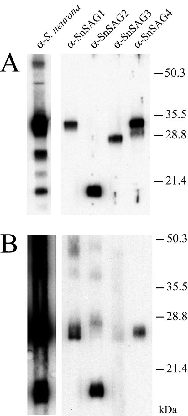 FIG. 3.