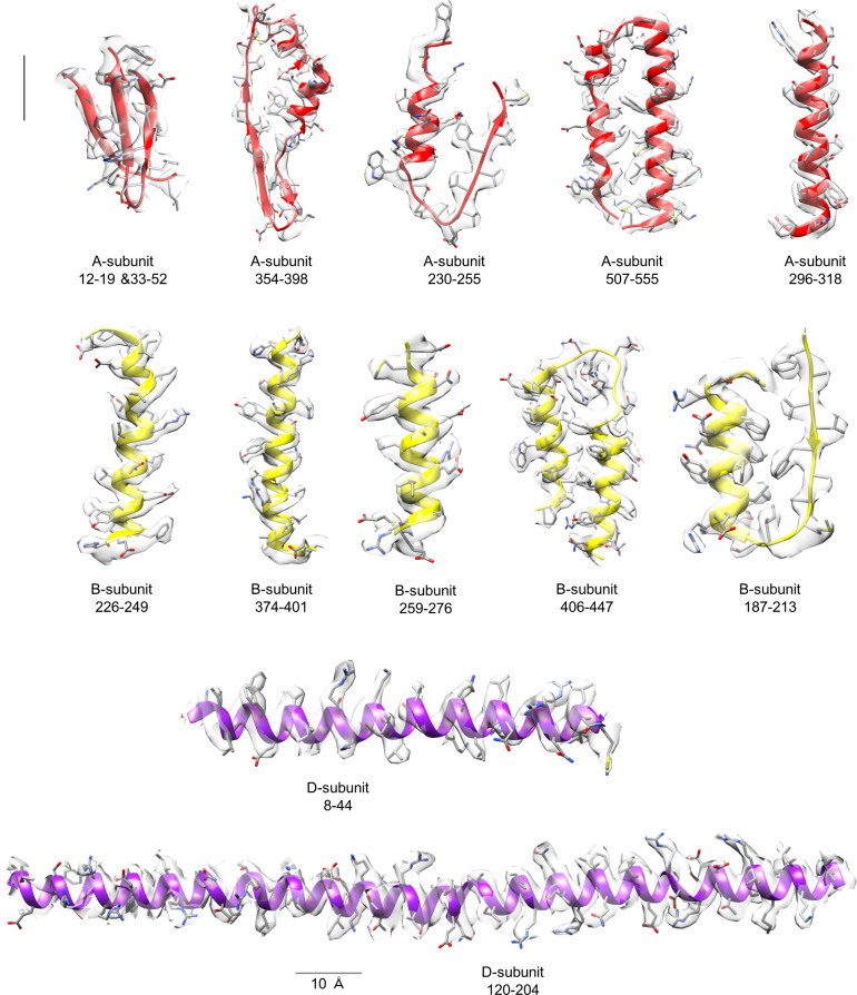 Figure 2—figure supplement 6.