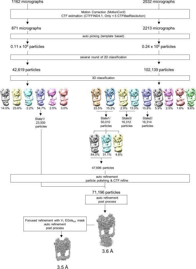 Figure 2—figure supplement 1.