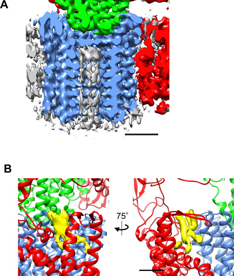 Figure 3—figure supplement 1.