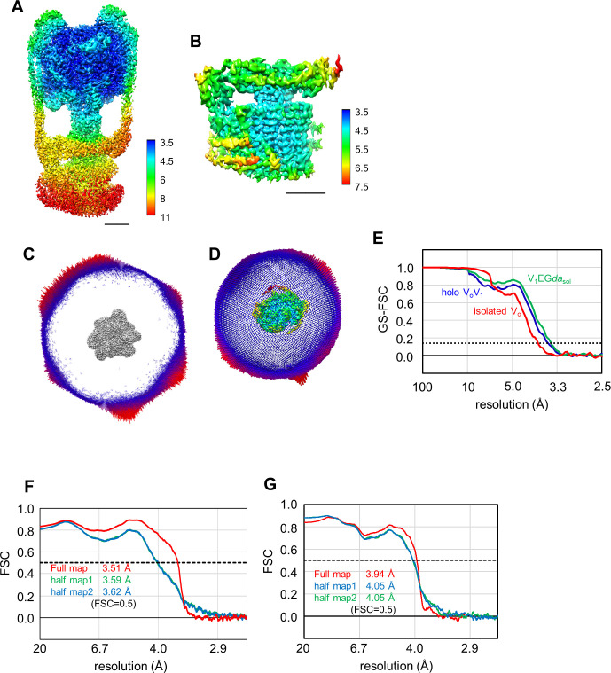 Figure 2—figure supplement 5.