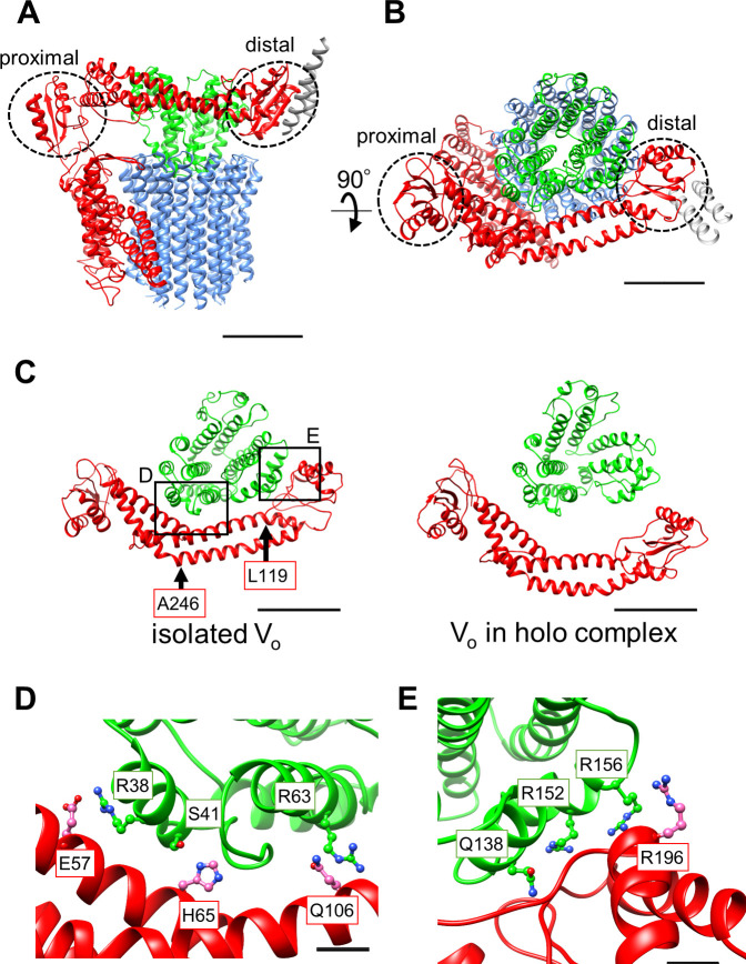 Figure 3.