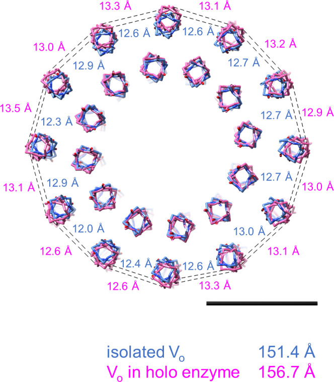 Figure 3—figure supplement 2.