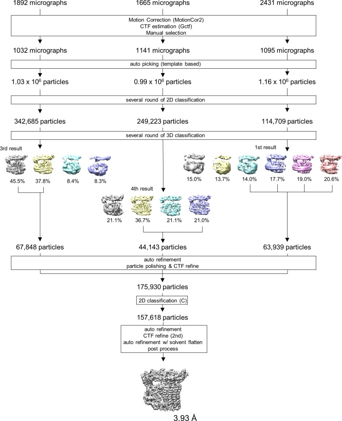 Figure 2—figure supplement 3.