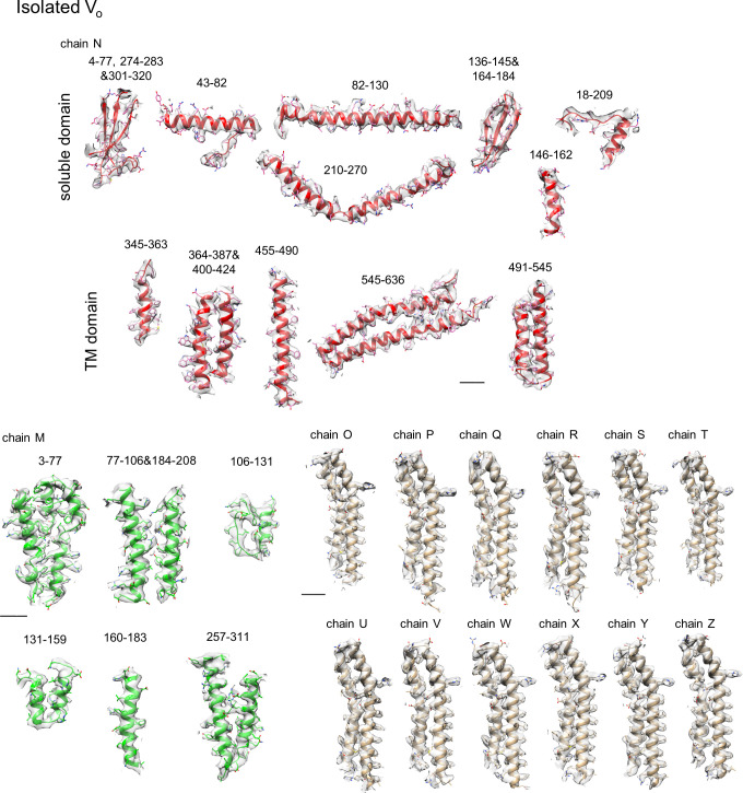 Figure 2—figure supplement 7.