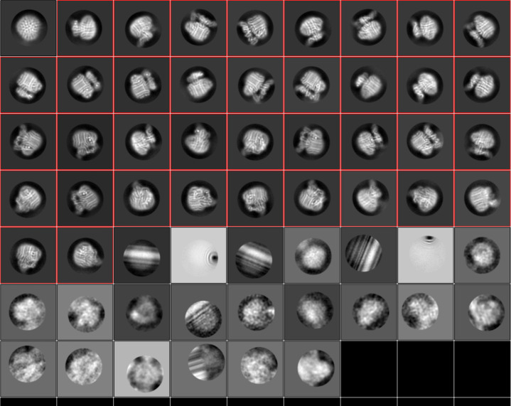 Figure 2—figure supplement 4.