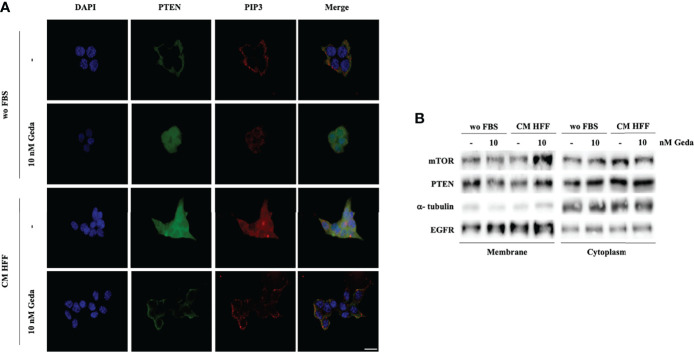 Figure 4