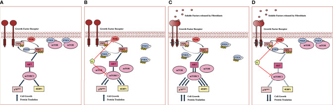 Figure 6