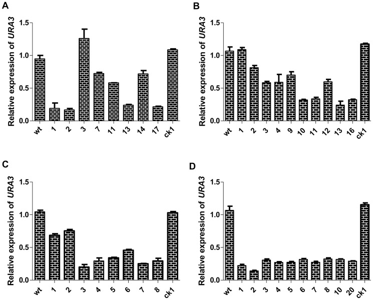 Figure 5