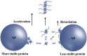 Fig. 10