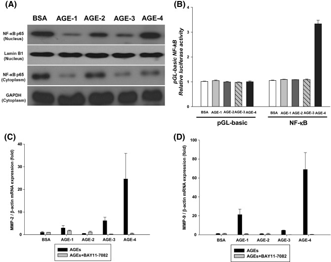 Fig. 3