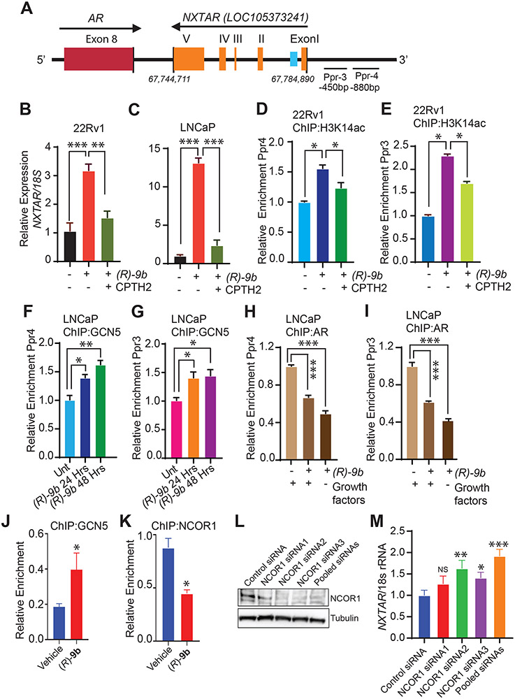 Figure 4: