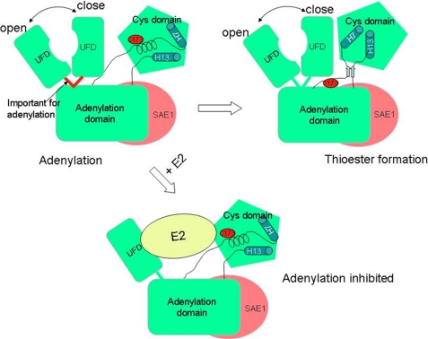 FIGURE 4.