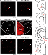 Fig. 4.