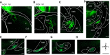 Fig. 9.