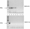 FIG. 2.