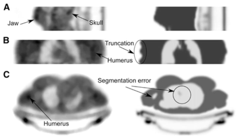 Fig. 11