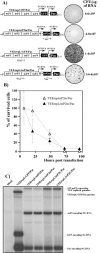 FIG. 4.