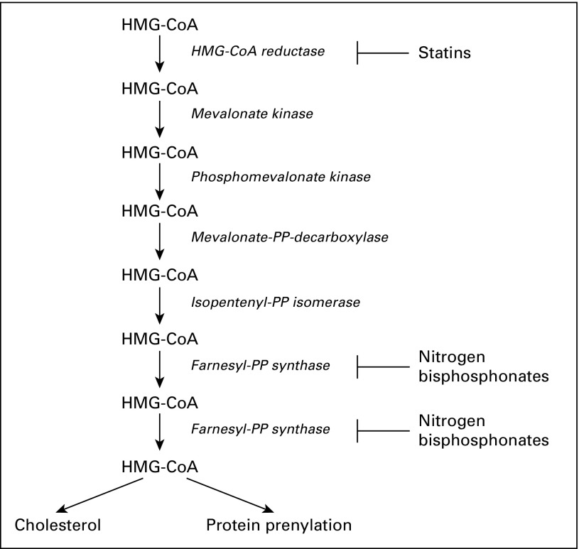 Fig 1.