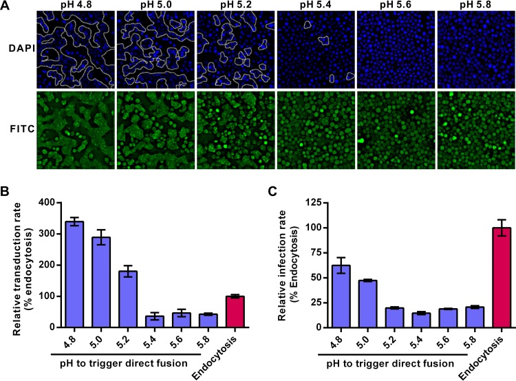 FIG 3