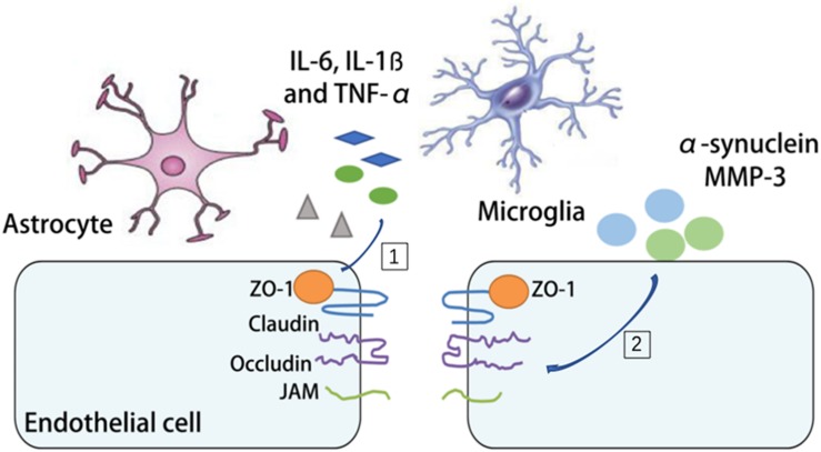 FIGURE 4