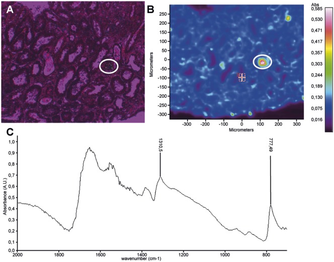 FIGURE 3