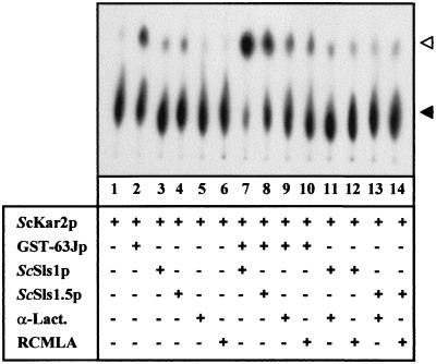 FIG. 8