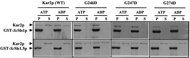 FIG. 6