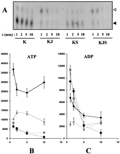 FIG. 9