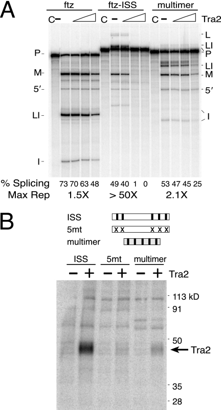 FIG. 5.