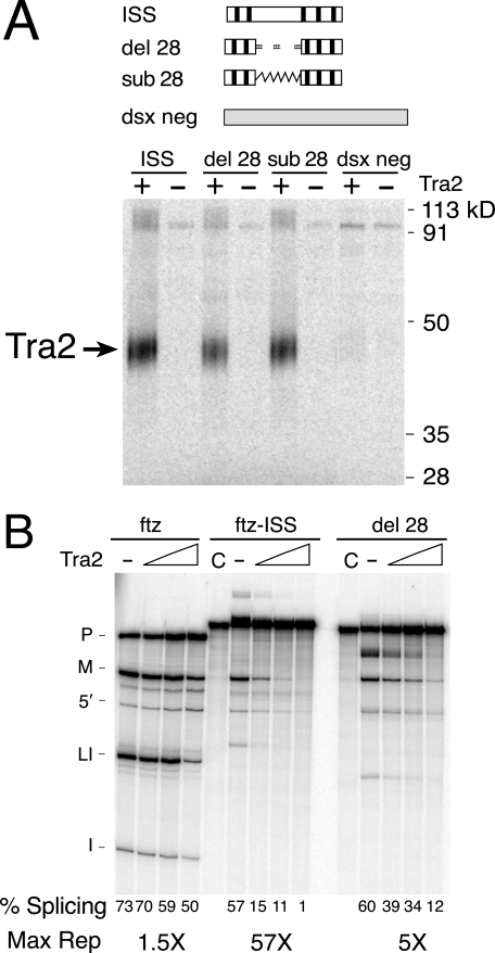 FIG. 6.