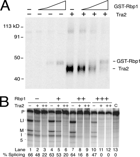 FIG. 9.