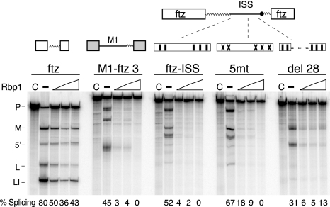 FIG. 8.