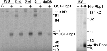 FIG. 7.