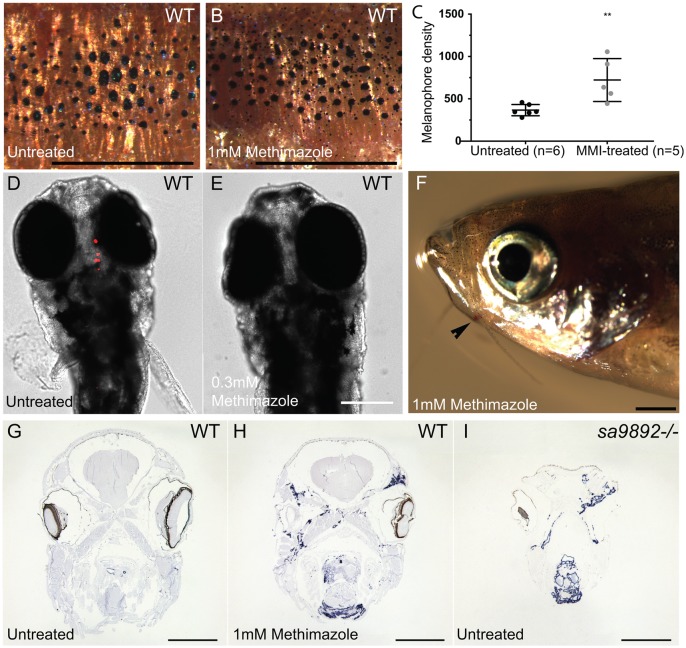 Fig. 8.