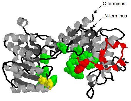 Figure 7