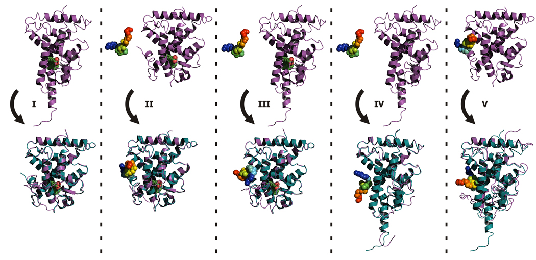 Fig. 3