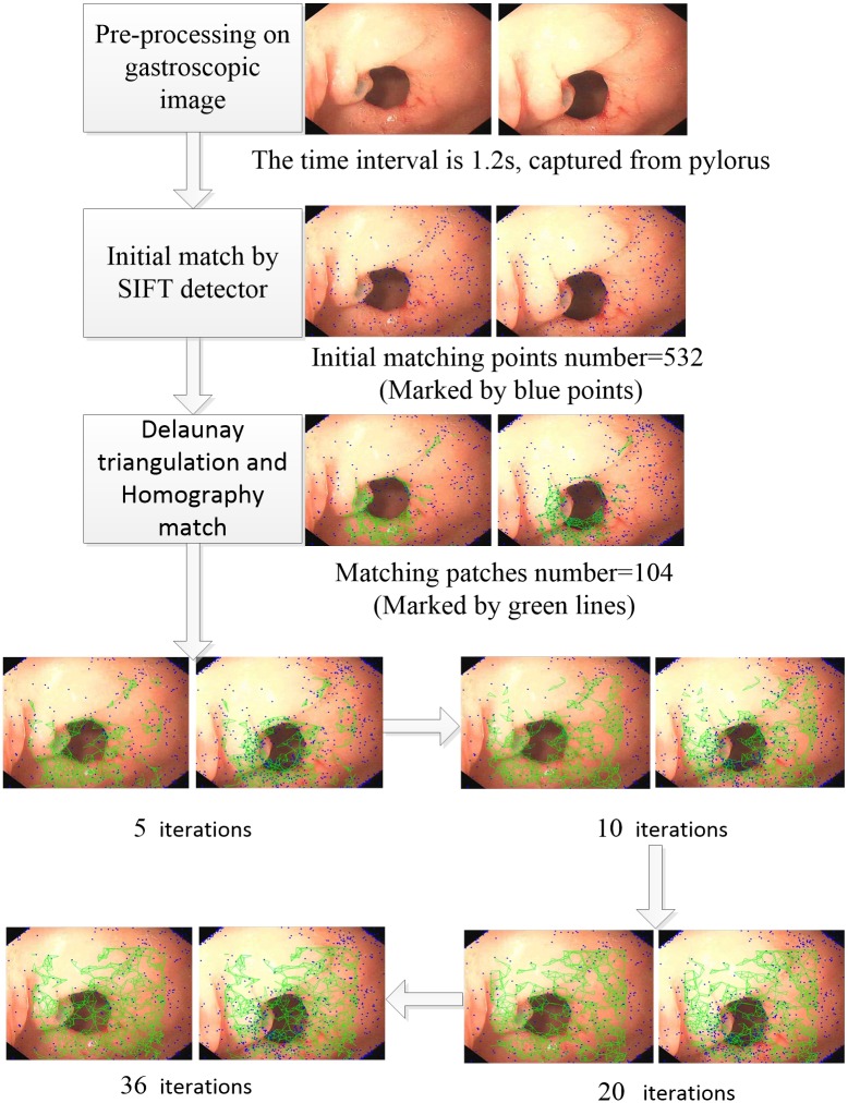 Fig 3