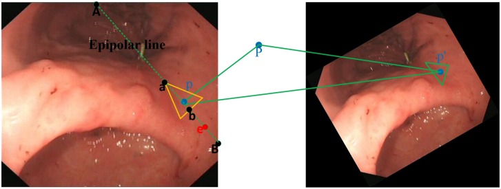 Fig 2