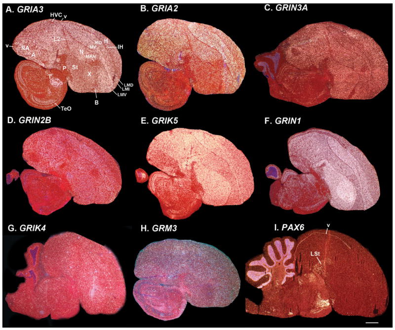 Figure 13