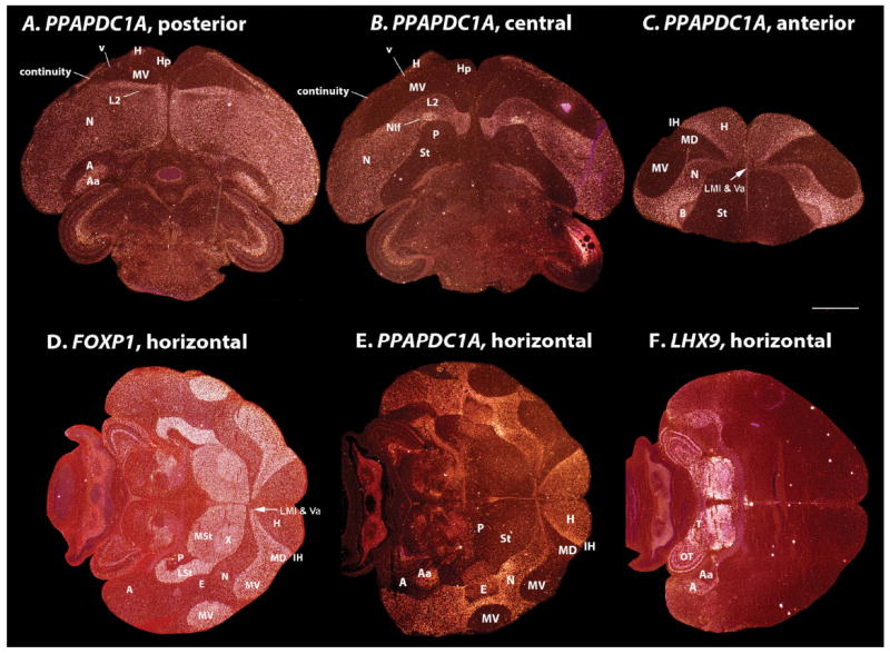 Figure 22